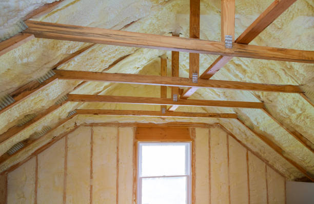 Best Insulation Maintenance and Repair in Fort Polk South, LA